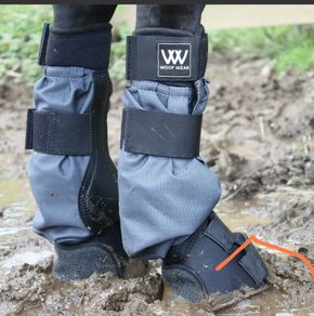 Mud Fever horse boots