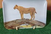 Vintage Tray