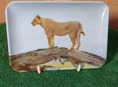 Vintage Tray