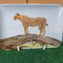 Vintage Tray Image 4
