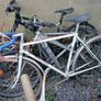 bikes Image 4
