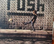 Rush - Roll The Bones (First Press)