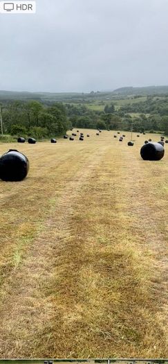 Hay Round bales Itilian rye grass