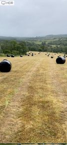 Round bales