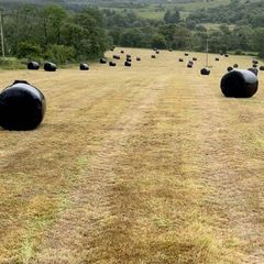 Round bales