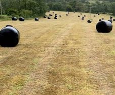 Round bales