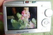 OLYMPUS C505 Digital Camera 6,0MP , Card ,runs on AA batteries Tested