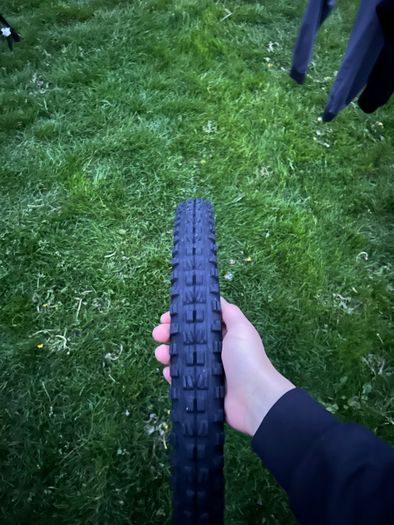 Maxxis minion dhf