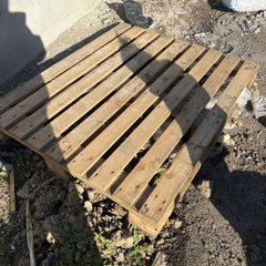 Pallets free to take