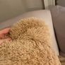 large teddy bear Image 4
