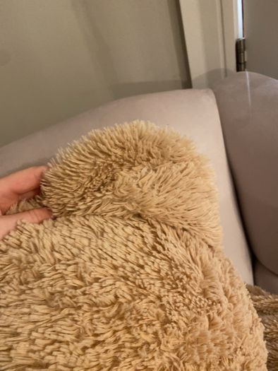 large teddy bear