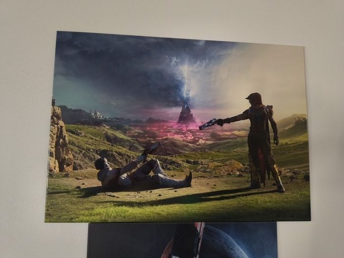 Destiny Pale Heart Displate