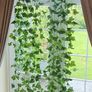 15 x Great Long Silk Ivy Garlands - 37mtrs / 121ft Image 3