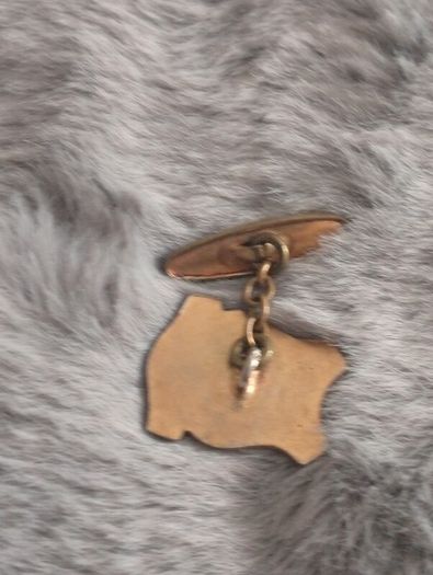 clothes pin badge vintage