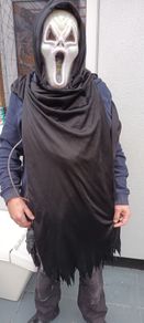 scream costume halloween fancy dress