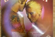 Vintage Vinyl LP The Theme from the Love Story and Other Great Film Hits 1971