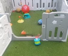 play pen