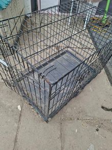 Dog Box
