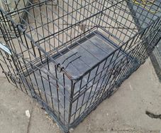 Dog Box