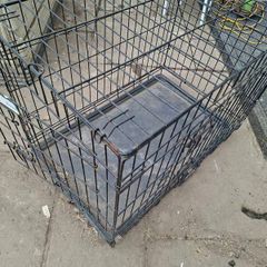 Dog Box
