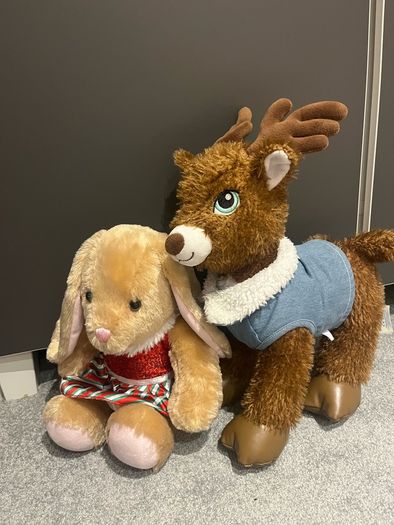 Build A Bear For Sale in Citywest, Dublin from susannT
