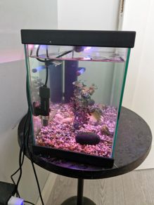 Complete Fish Tank Aquarium Set Heater, Filter, LED Light & Fish Food Included