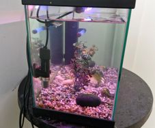 Complete Fish Tank Aquarium Set Heater, Filter, LED Light & Fish Food Included