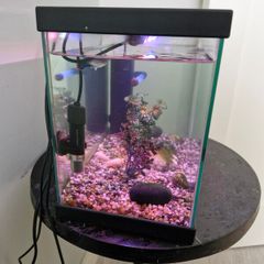 Complete Fish Tank Aquarium Set Heater, Filter, LED Light & Fish Food Included