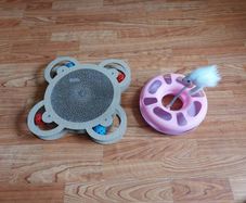 cat toys