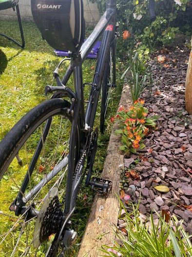 Genesis road bike