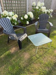 Adirondack Garden Lounge Chairs and New Coffee  Table