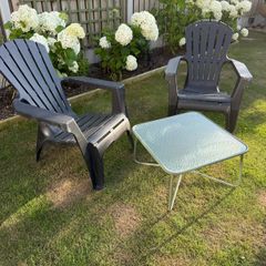 garden Lounge Chairs and New Coffee  Table
