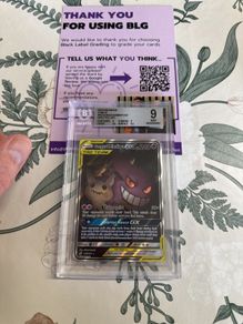 Gengar and Mimkyu Team Up 165