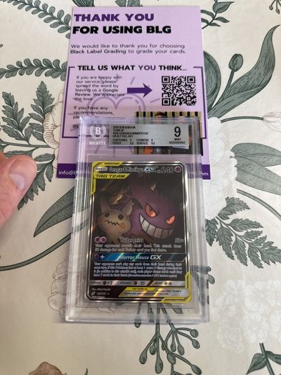 Gengar and Mimkyu Team Up 165
