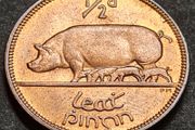 Ireland Excellent 1965 Half Penny coin
