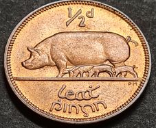 Ireland Excellent 1965 Half Penny coin