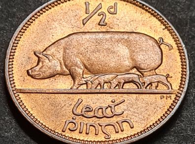 Ireland Excellent 1965 Half Penny coin