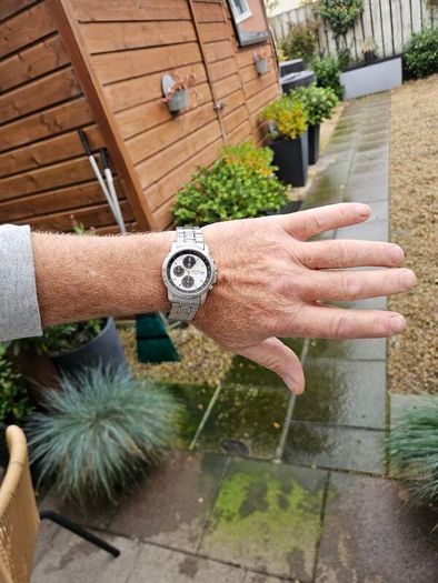 Watch Seiko Panda Chronograph