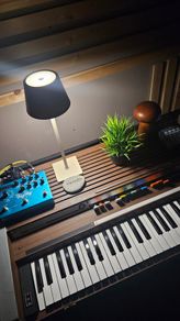 Farfisa Matador 611-E, 61-Key Organ 1972 - 1973 - Natural