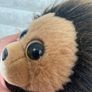 Ty Cecil the Lion Plush approx. 6" Used Please see pictures Image 4