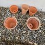 Flower pots Image 2