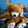teddies Image 2