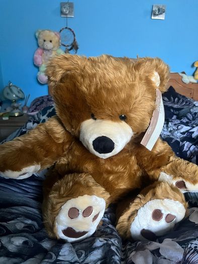 teddies