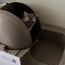 Petsnowy cat litter tray RRP 600 euro Image 3