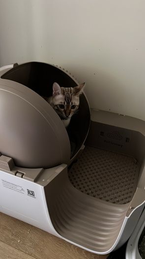 Petsnowy cat litter tray RRP 600 euro