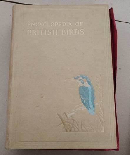 Vintage 1955 Encyclopedia of British Birds - Ludwig Koch (Waverley)