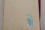 Vintage 1955 Encyclopedia of British Birds - Ludwig Koch (Waverley)