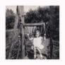 photography Image 4