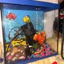 fishtank Image 2