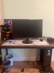 monitor